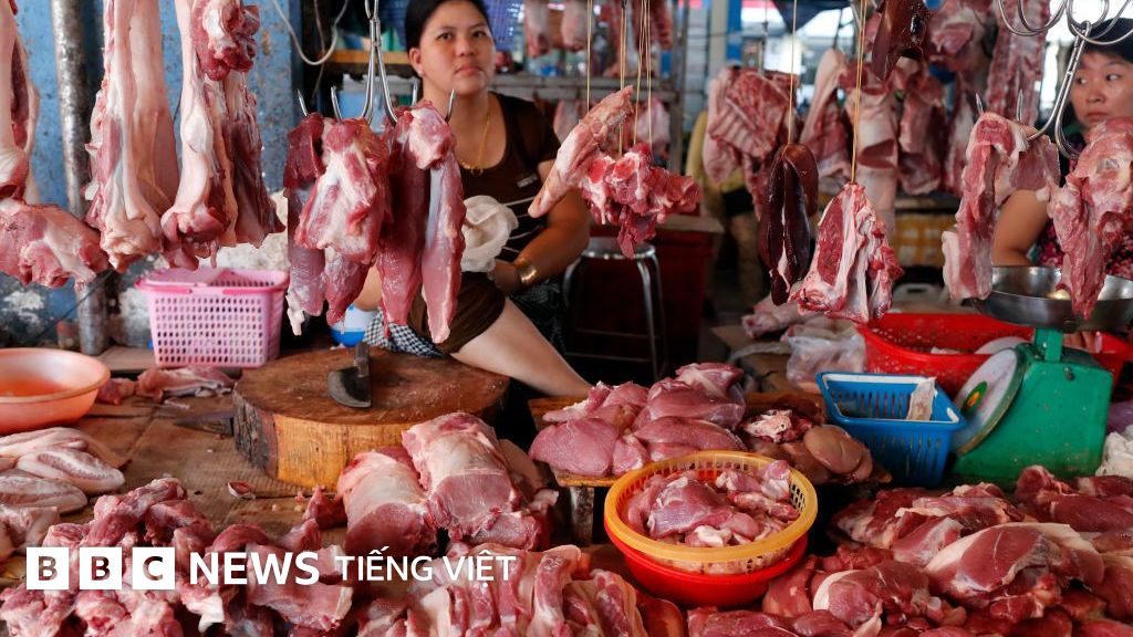 Cheap meat imports and high feed costs squeeze Vietnam’s livestock producers