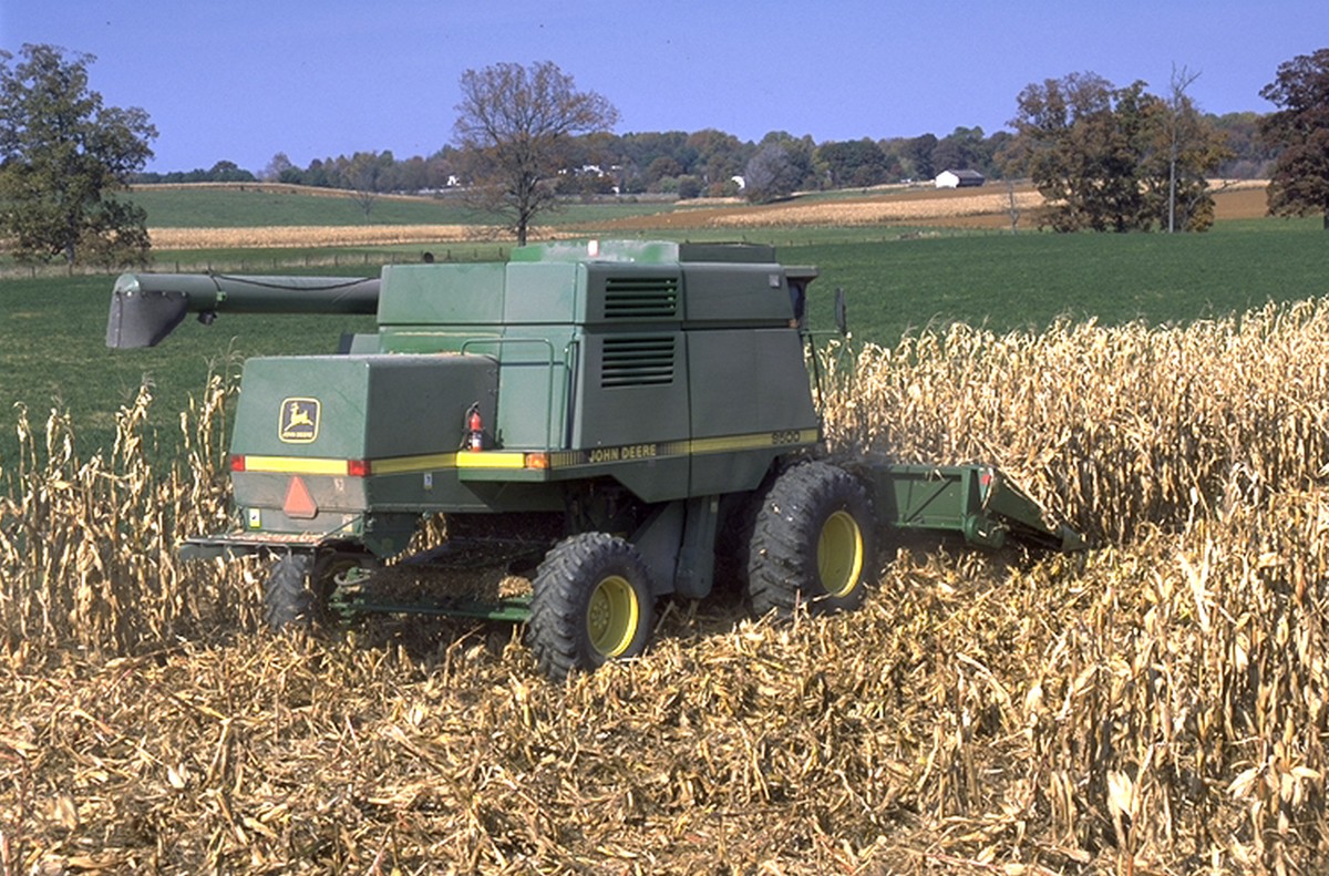Chicago corn jumps 4% on supply-demand projections and Russia-Ukraine war concerns