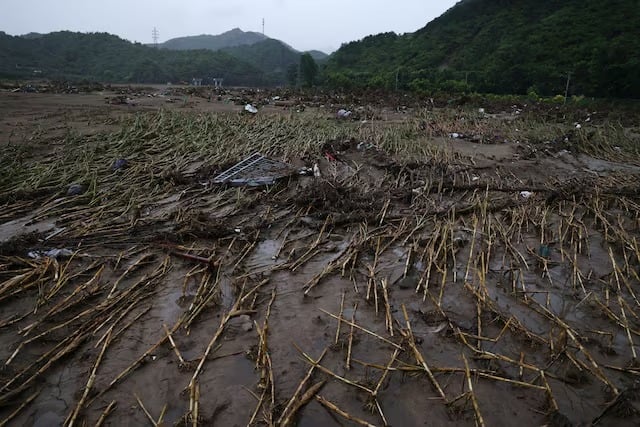 Danos climáticos na China elevam preços da soja e do milho no Brasil