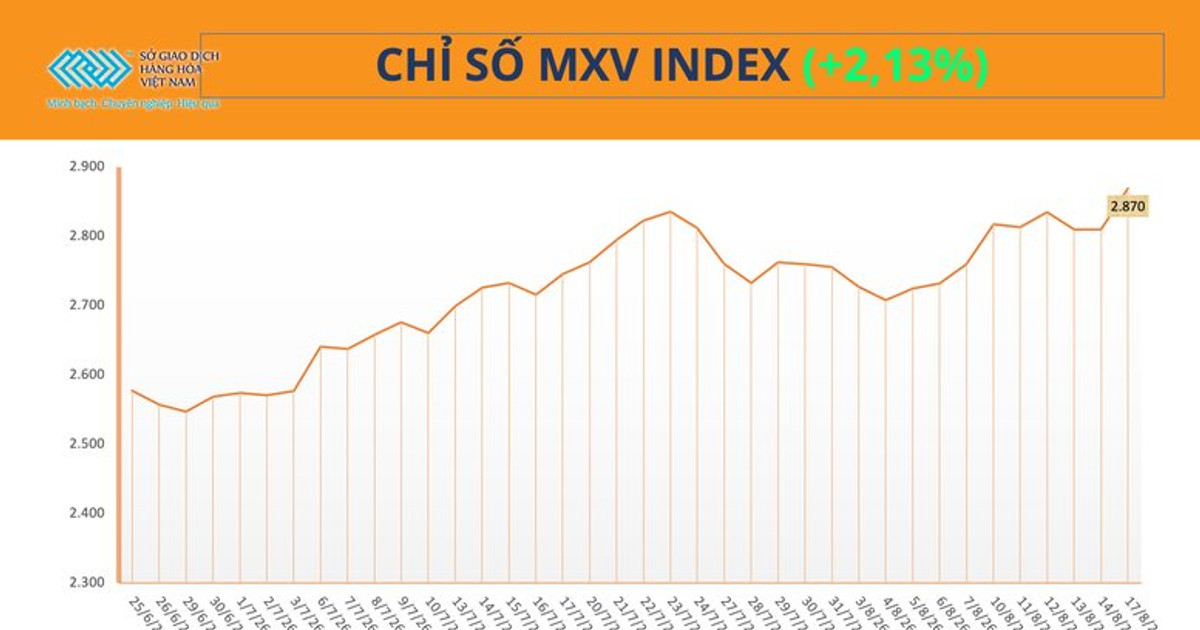 Chinese Soybean Buying and Tight Arabica Stocks Lift Vietnam’s MXV Index 2.13%
