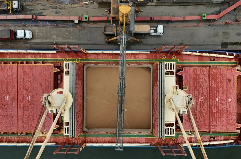 COFCO opens large-scale Brazilian sorghum route to China with 69,000-tonne cargo