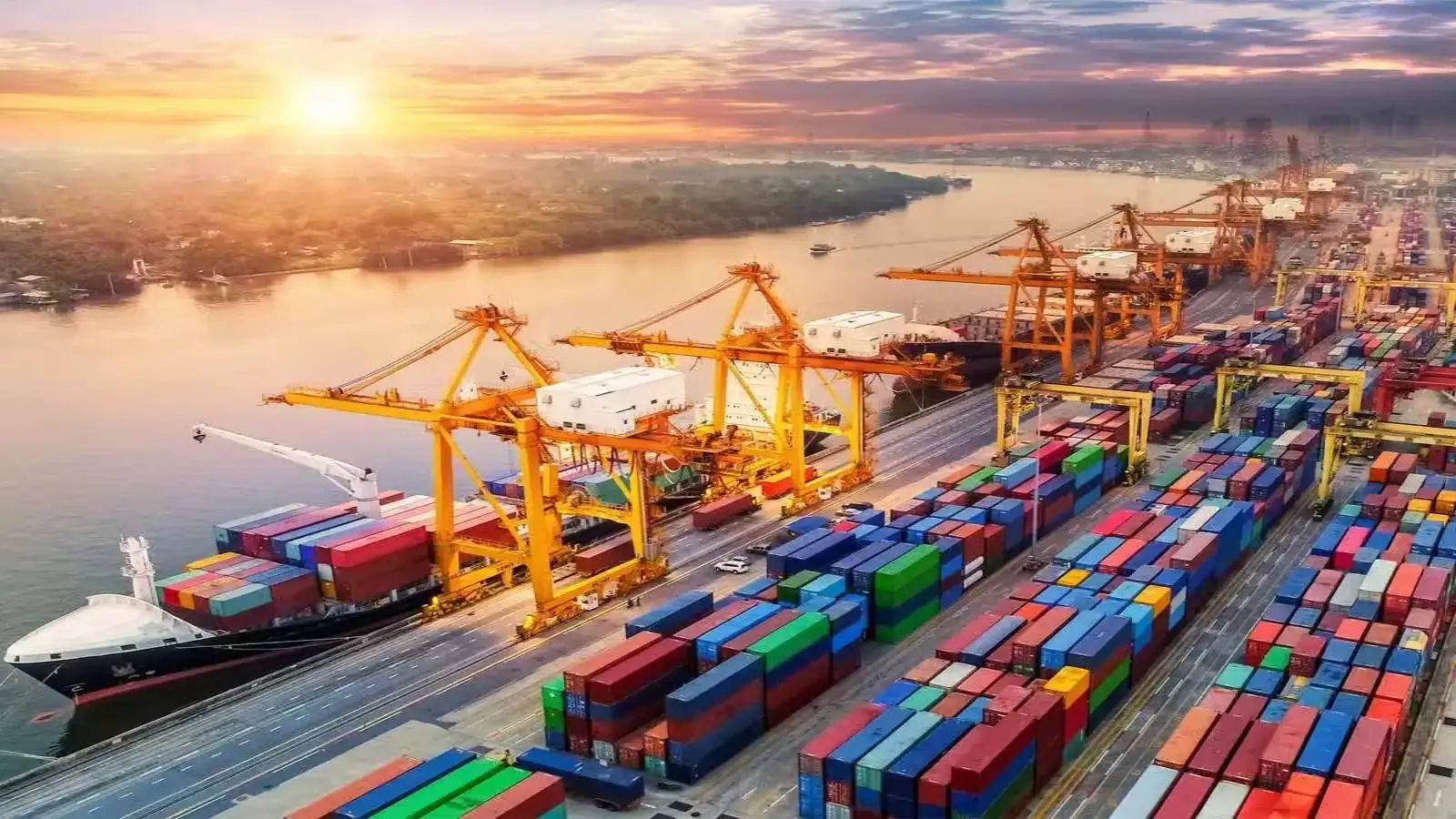 Container shortage delays Indian rice exports as cargo clearance reaches 35–40 days