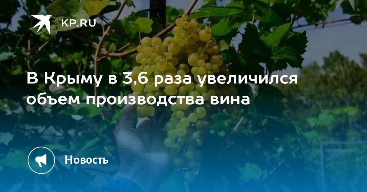 Produção de vinho na Crimeia cresce 3,6 vezes entre 2014 e 2025