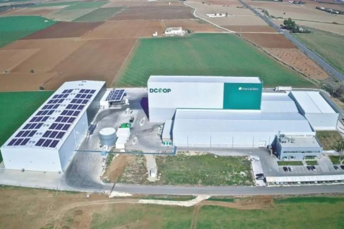 Dcoop steigert Exportmenge, doch niedrigere Olivenölpreise drücken Erlös auf 697,5 Mio. €