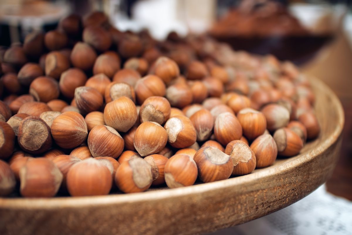 Drought, heat and pests cut Piedmont IGP hazelnut output