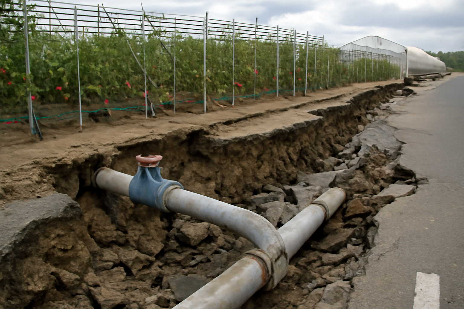Erdbebenschäden gefährden Wasserversorgung in Japans größter Tomatenregion