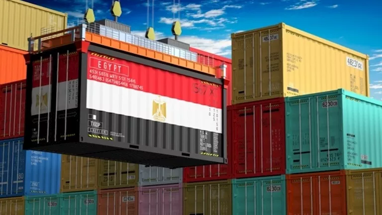 Egypt’s agricultural exports exceed 6.2 million tonnes as citrus leads shipments