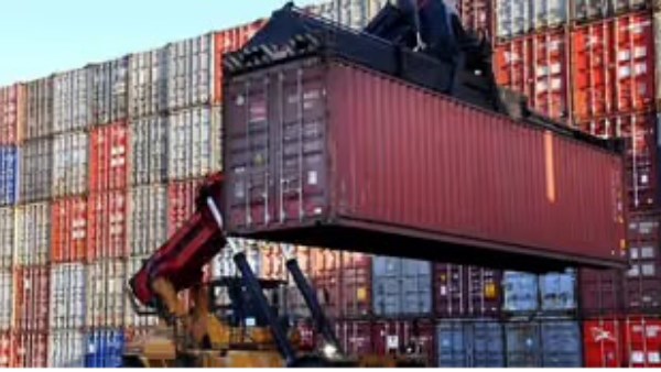 Egypt leads frozen strawberry exports with $690 million shipped in 2025