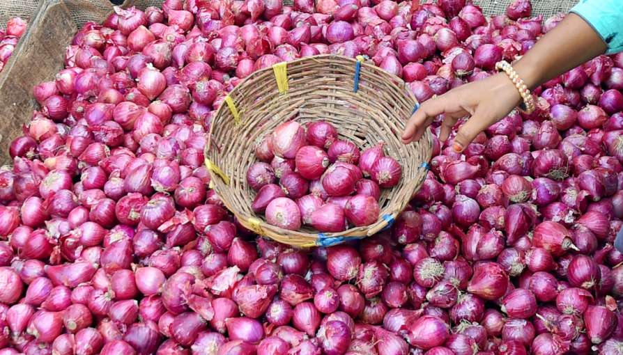 Les exportateurs égyptiens d’oignons ciblent la Turquie après une baisse de production de 100 000 tonnes