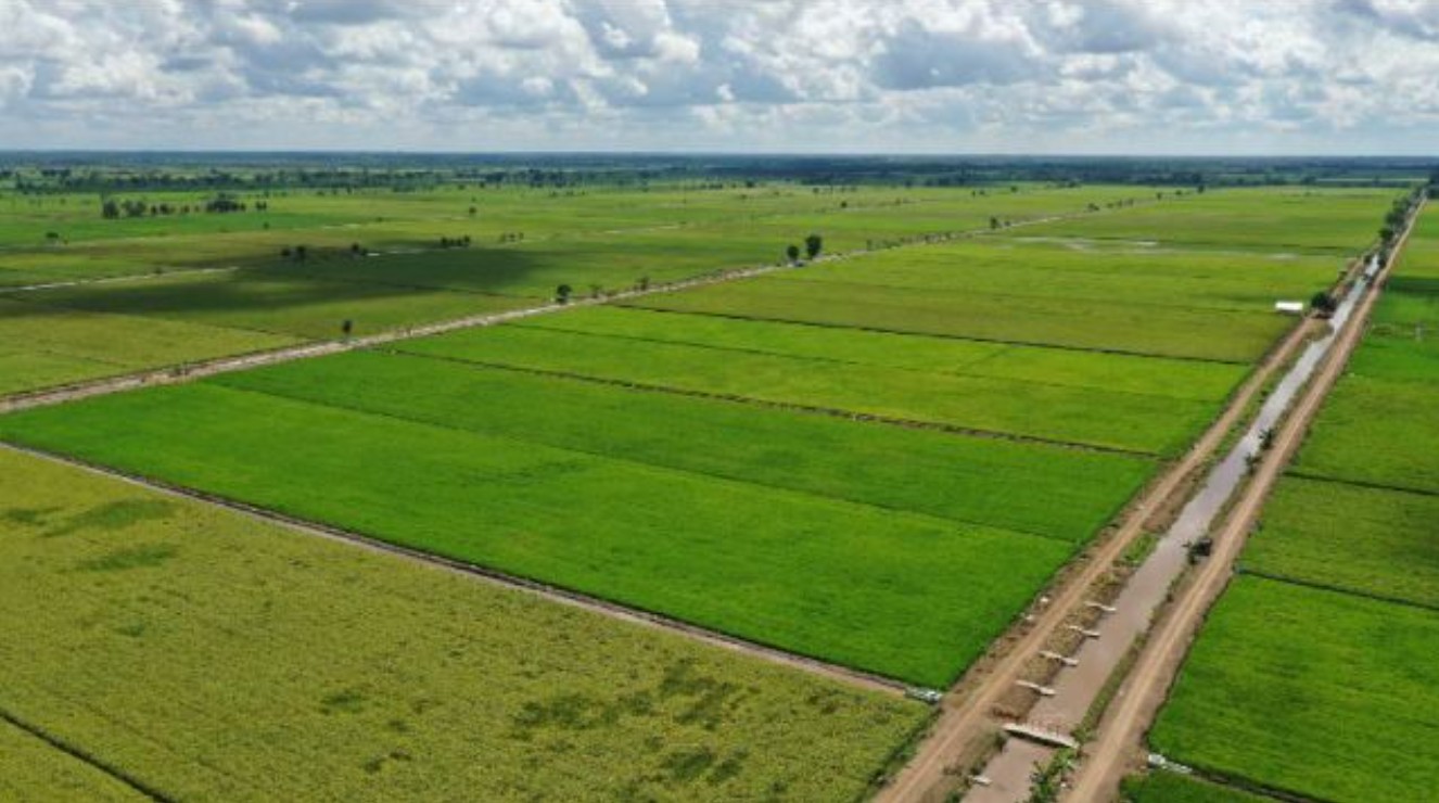 El Niño drought cuts Indonesian sugarcane harvest outlook by half