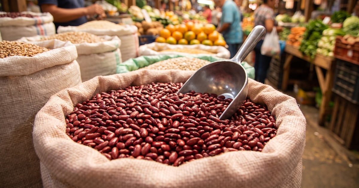 El Salvador turns to Ethiopia and Argentina for red beans as domestic supply tightens