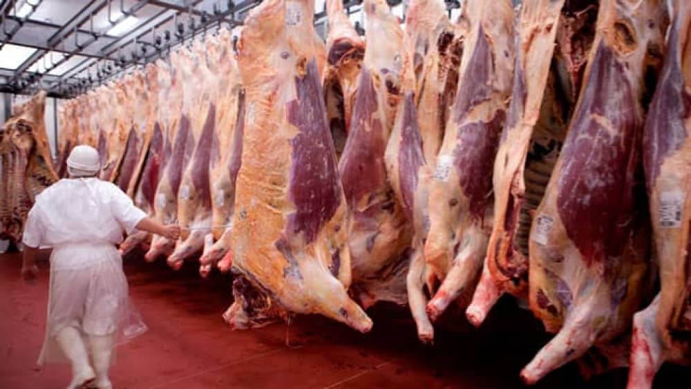 EU Commission forecasts lower beef and lamb production in 2026