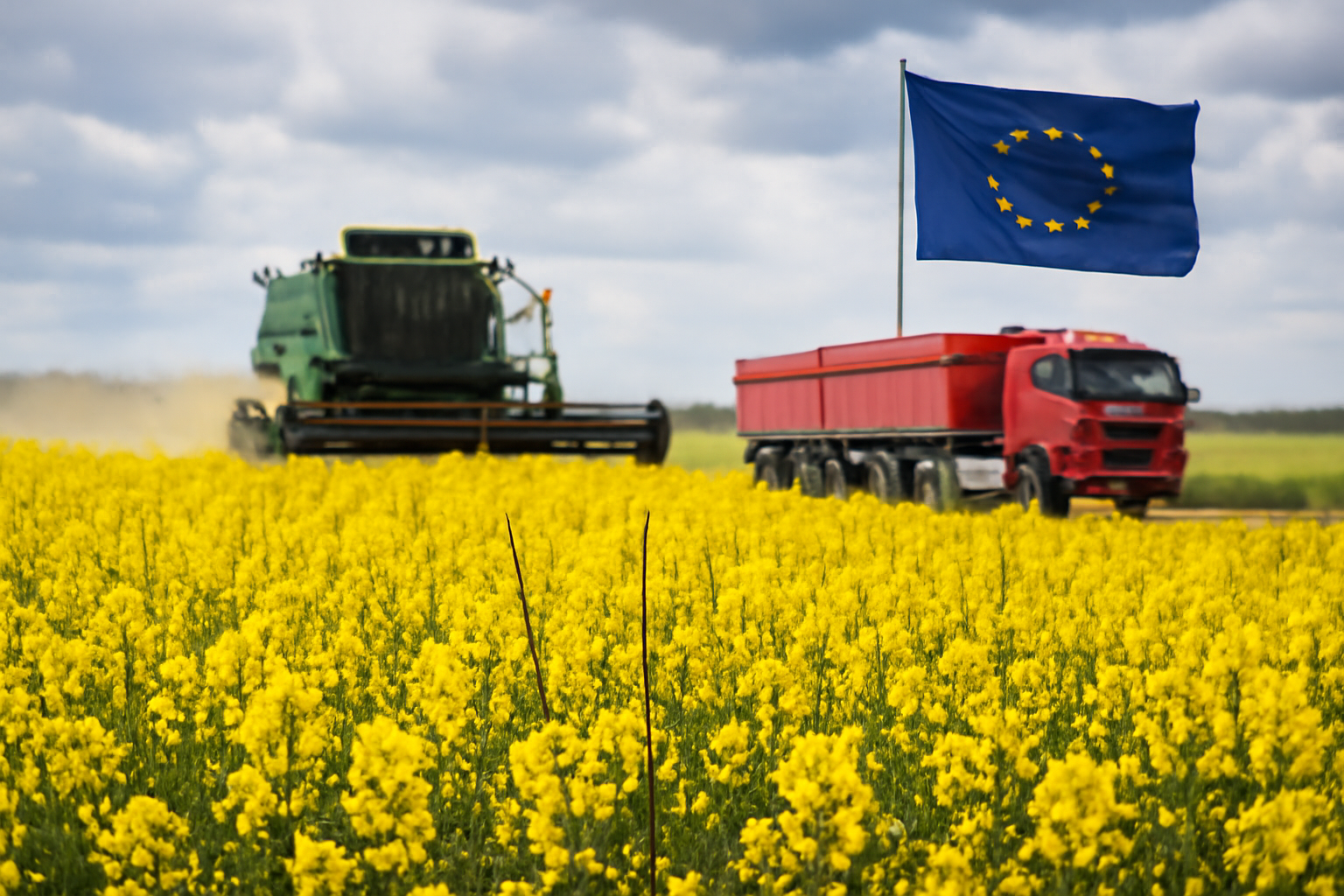 EU farm and biofuel rules could reshape Poland’s rapeseed industry