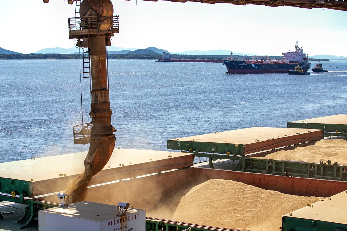 EU plans to bar any trace of certain pesticides in farm imports, tightening access for Brazil