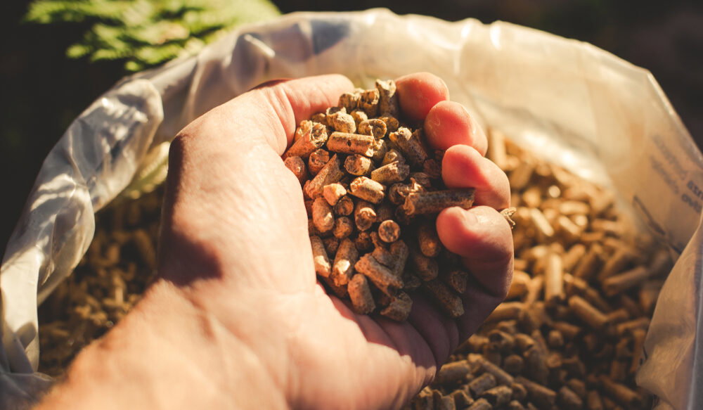 European heating demand lifts global wood pellet output to record 53.5 million tonnes