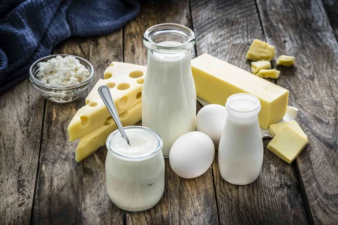 European drought cuts dairy feed and threatens higher milk prices this autumn