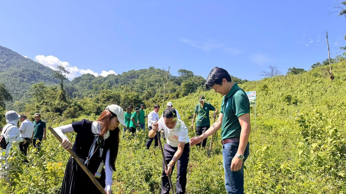 Export requirements drive FSC-certified forestry expansion in Vietnam’s Quang Tri
