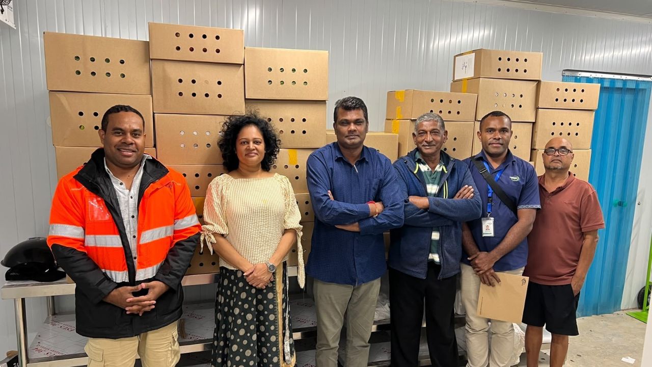 Fiji sends first pilot produce shipment to Nauru as new Pacific export channel is tested