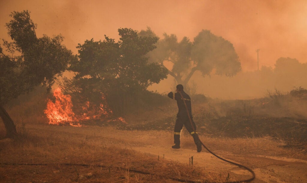Heat, drought and wildfires cut European crop forecasts