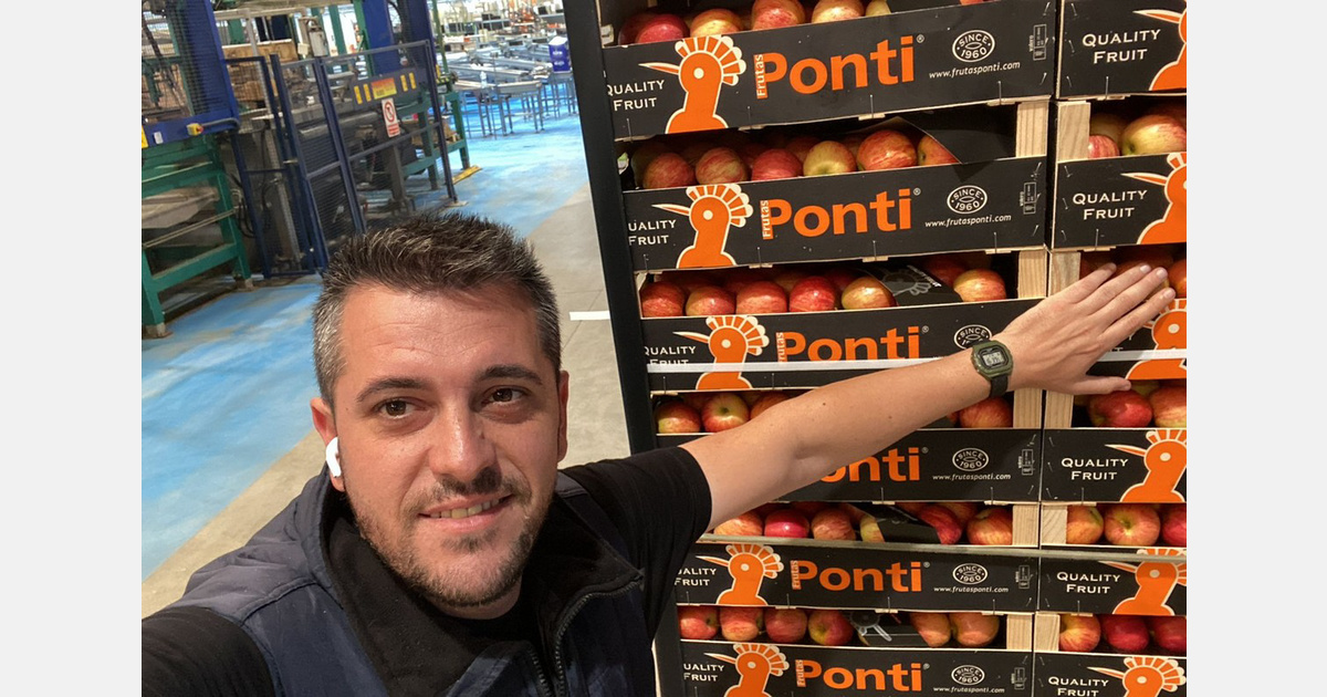 Heat and Southern Hemisphere Supply Weigh on Spain’s Apple and Pear Season