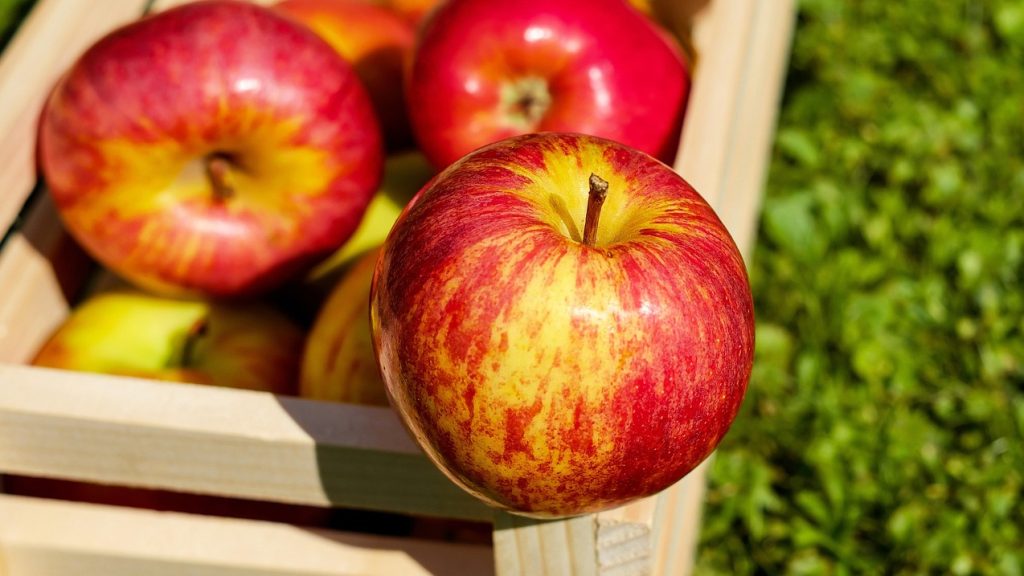 Hungary’s apple harvest forecast at 135,000 tonnes, a 50-year low