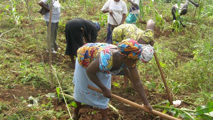 Programa apoiado pelo IFAD atende 3.256 mulheres nas cadeias de arroz e mandioca de Kogi
