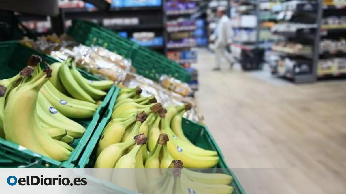 Imported bananas widen their lead over Canary Islands fruit in Spain