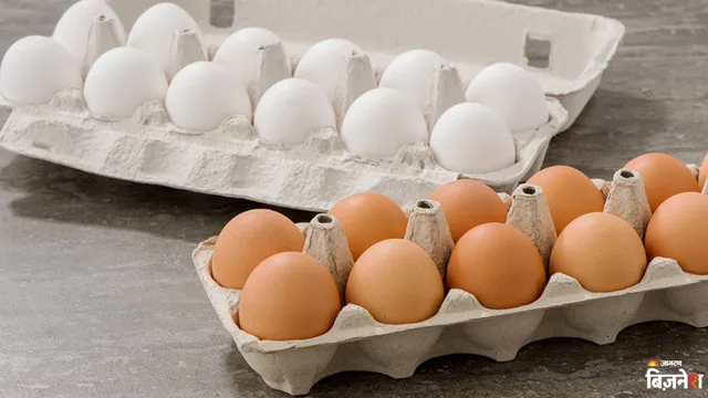 Indiens Ethanoloffensive verteuert Eier um 35–40 % durch höhere Maiskosten