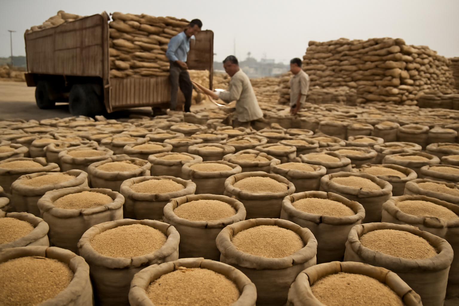 India prepares open-market wheat sales ahead of festival demand