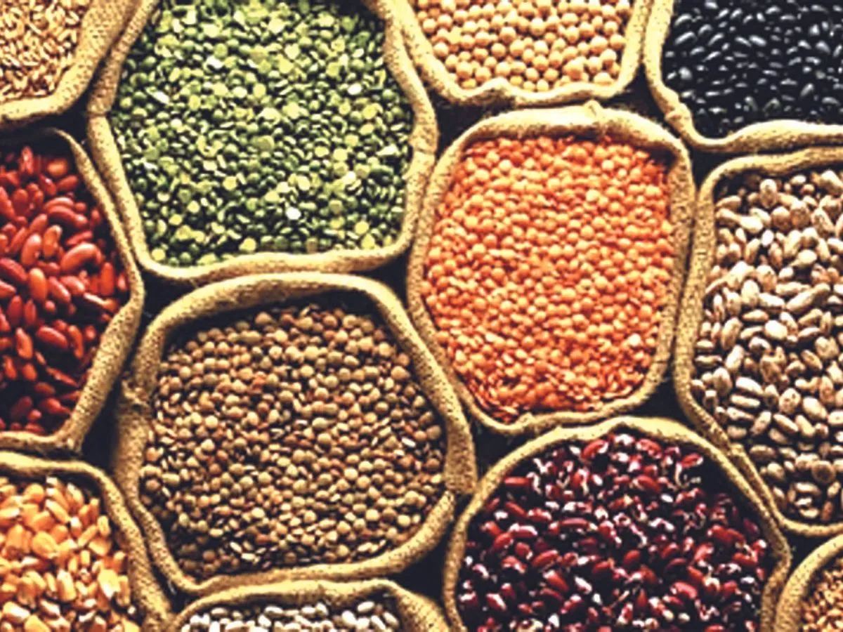 India’s pulse imports edge down to 3.18 million tonnes as chickpea and urad arrivals fall