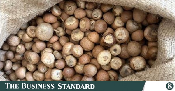 India uncovers Rs 2,500 crore areca nut duty-evasion scheme