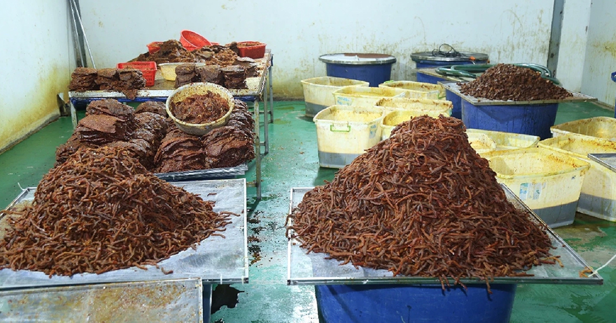 La viande de buffle indienne renforce sa place sur le marché vietnamien