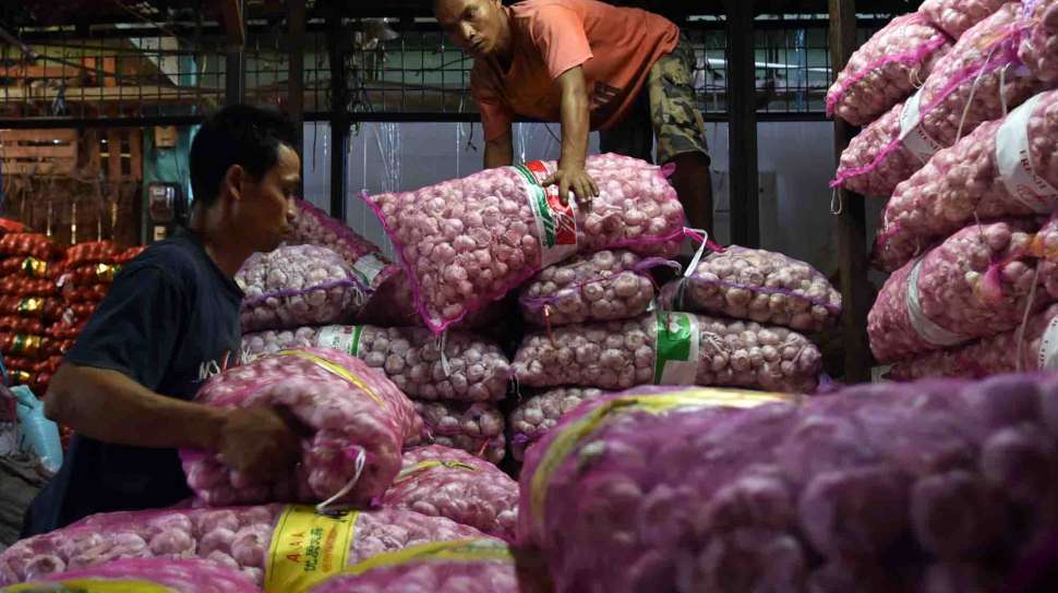PTPN Group targets 24,000 hectares of garlic to reduce Indonesia’s import dependence