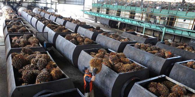 Экспорт пальмового масла из Индонезии вырос на 5,79% до 16,595 млн тонн