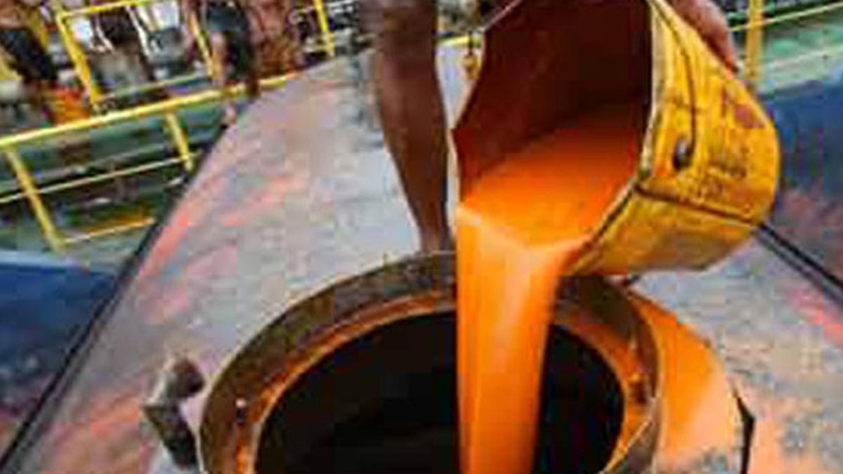 Indonesia’s palm oil output forecast to rise to 50.31 million tonnes in 2026