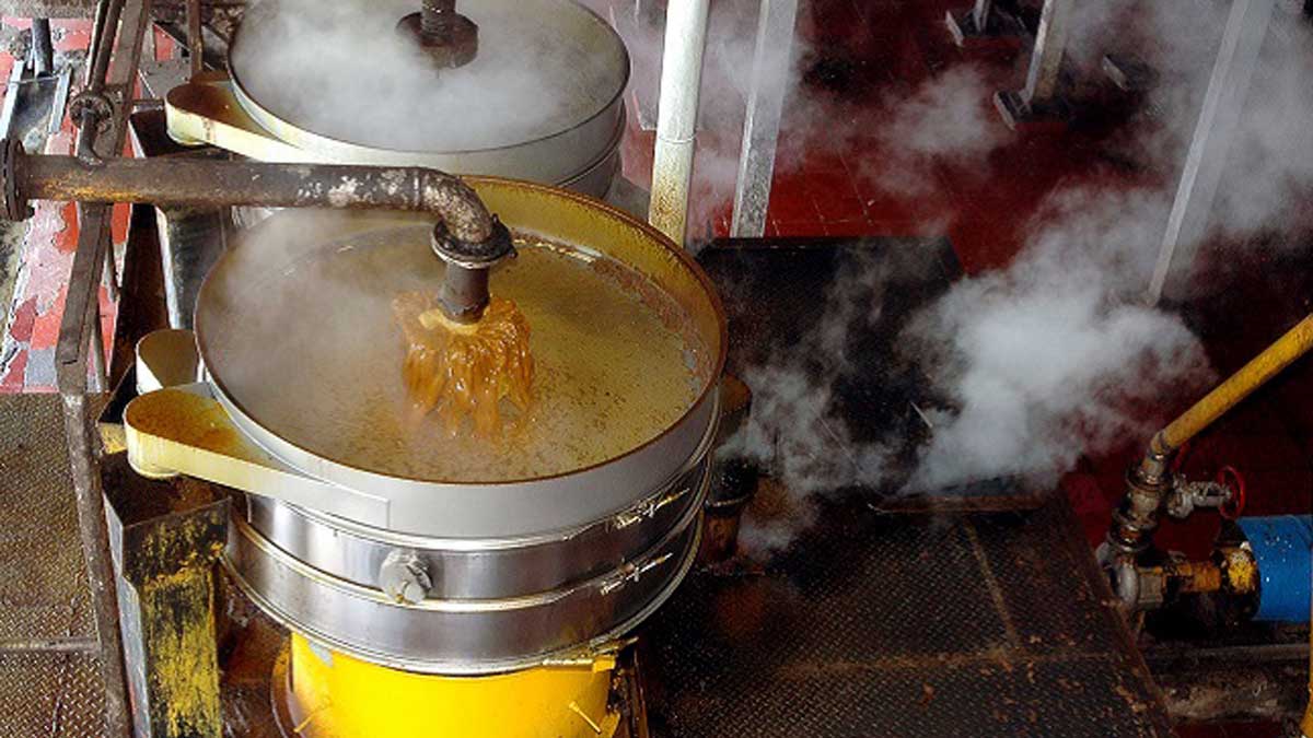 Produção de óleo de palma cresce na Indonésia e biodiesel absorve 1,13 milhão de toneladas