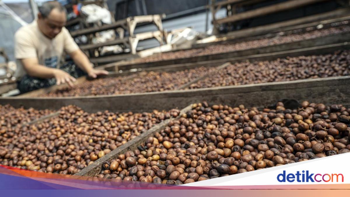 Indonesia's Processed Coffee Exports Reach US$692 Million in 2025, Up 4.36%