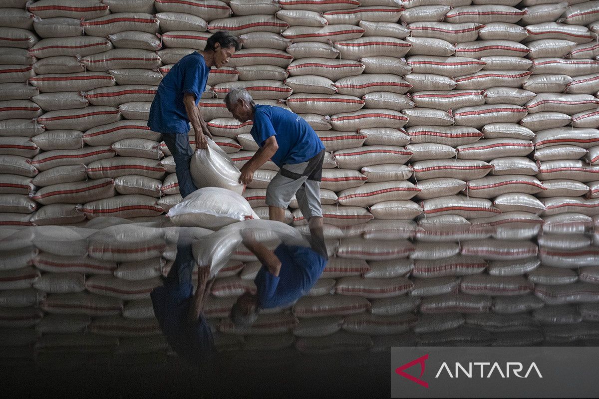 Indonesia’s Rice Surplus Exposes Gaps in Inter-Island Distribution