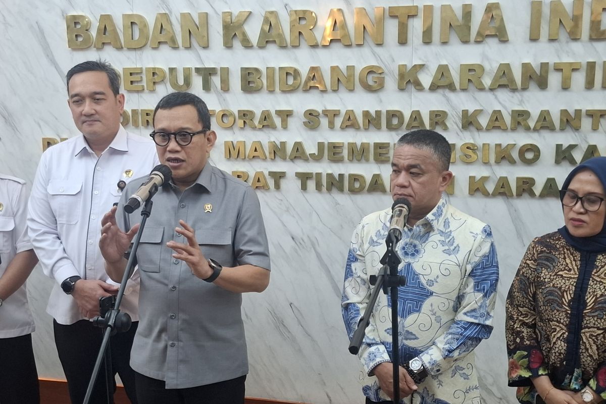 Indonesia busca compradores asiáticos para la cebolla frita de Palu