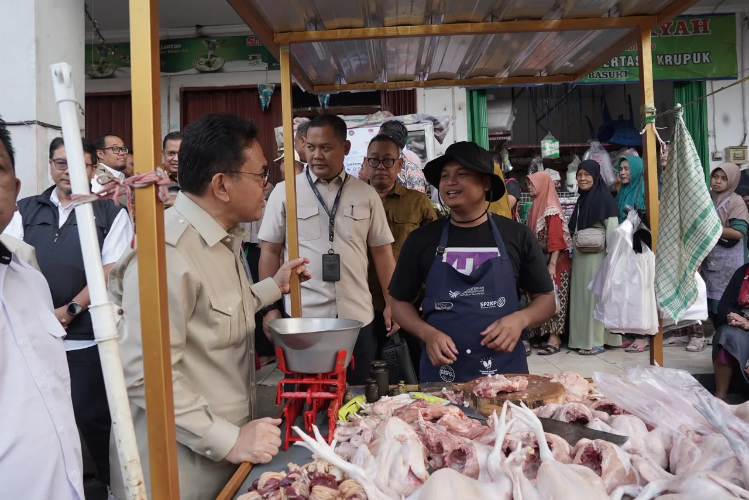 Indonesia seeks balanced chicken prices as retail market holds near reference level