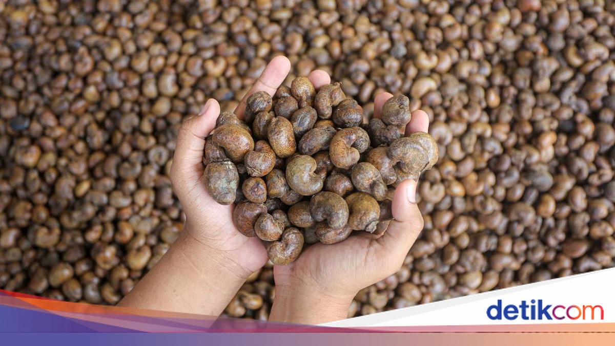 Indonesia Targets BRICS Agro Hub Role as India Seeks More Cashew and Betel Nut