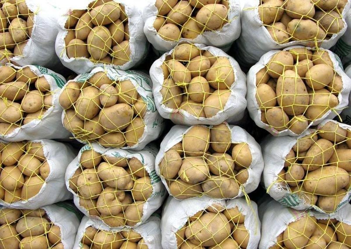 Irã prolonga proibição de exportar batata até o fim do ano iraniano 1405