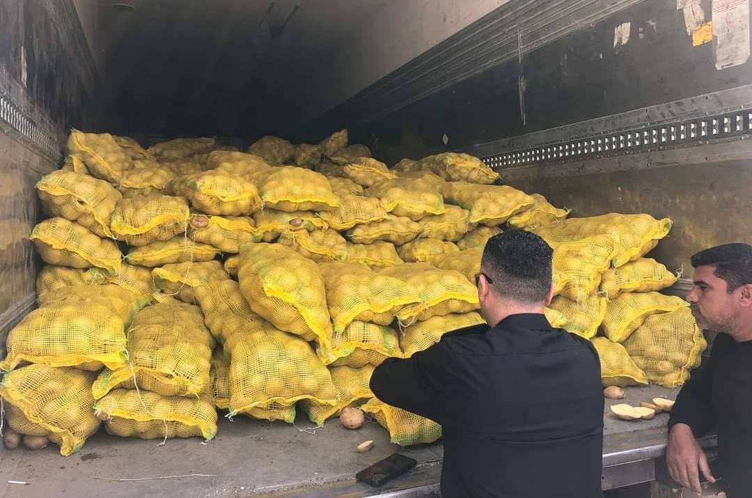Iraque gastou 52,4 milhões de dólares com quase 90 mil toneladas de batata importada em 2025