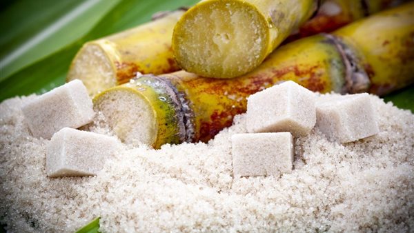 Italian-backed Egypt project proposes $278 million bioethanol plant using sugar waste