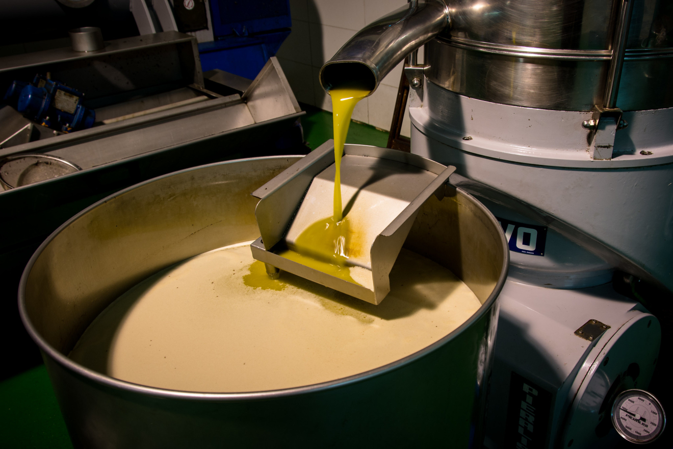Italian olive oil sales hit record 13,000 tonnes in July as bulk prices fall below €5/kg