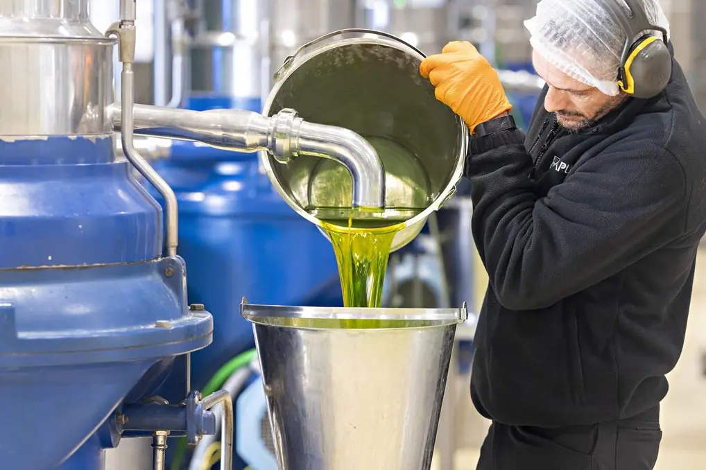 Italy permits virgin and extra-virgin olive oil blends for export