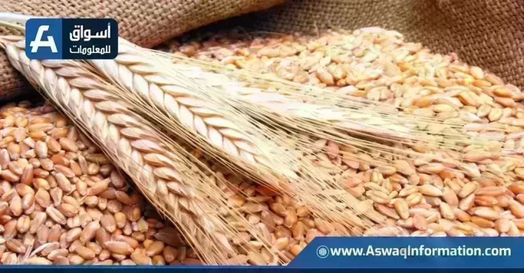 Jordan buys 60,000 tonnes of wheat from CHS at $318.95 per tonne