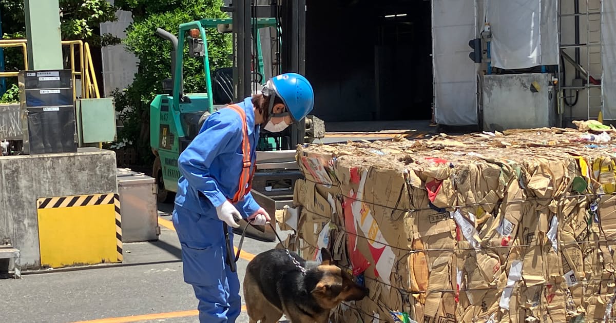 关东废纸出口招标价上涨6%，创26个月新高
