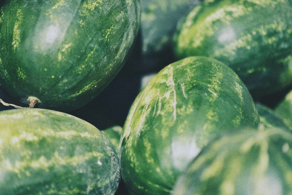 Kherson targets 25,000-tonne melon harvest as heat drives European watermelon demand
