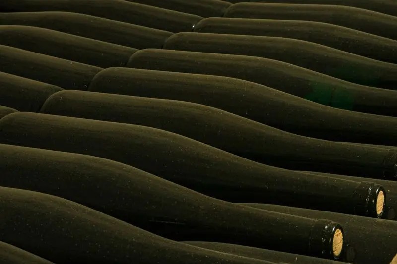 Kuban Wineries Account for 49.5% of Russian Wine Production in First Half of 2026